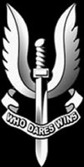 sas-badge.jpg